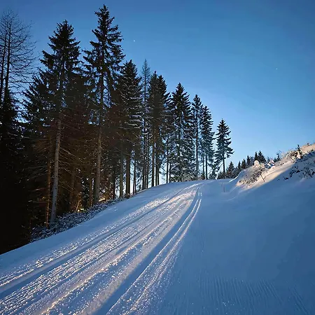 Domek alpejski The Am Klippitztoerl - *