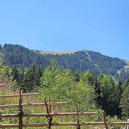 The Am Klippitztoerl - Chalet *