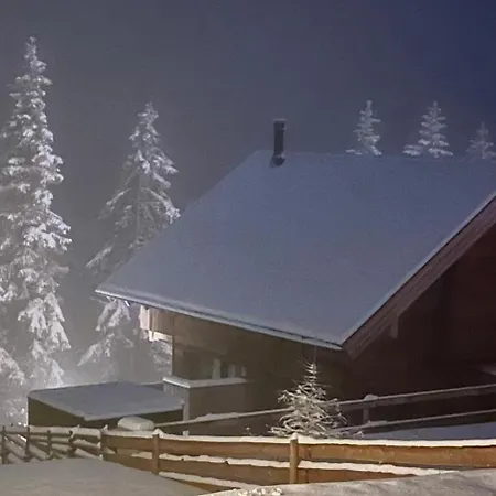 The Am Klippitztoerl - Chalet *