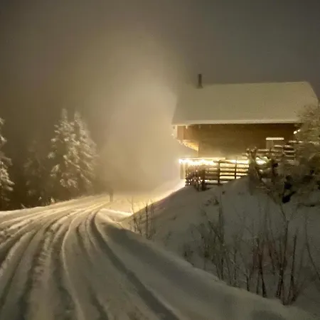 Chalet The Am Klippitztoerl - *