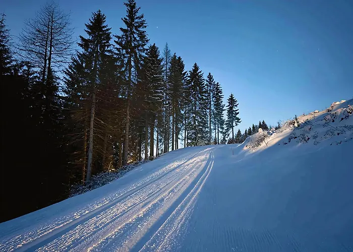 Domek alpejski The Am Klippitztoerl - *