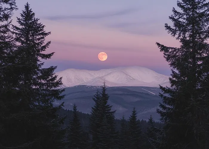 Domek alpejski The Am Klippitztoerl - *