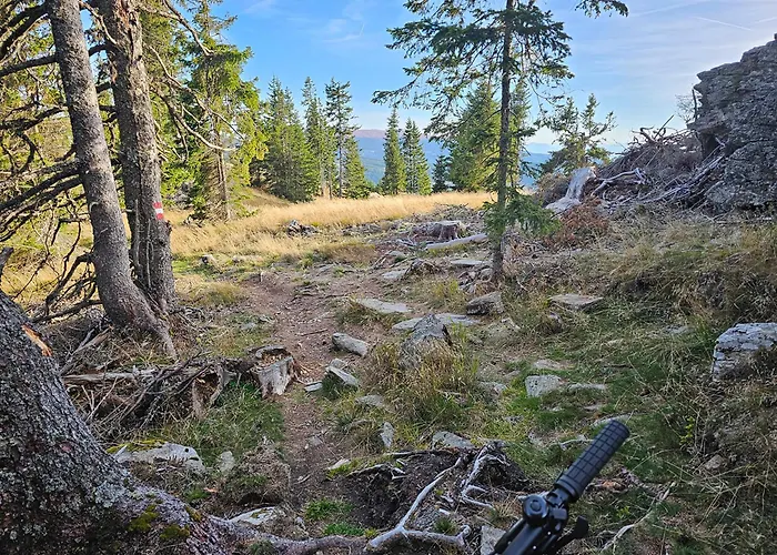 The Am Klippitztoerl - Domek alpejski
