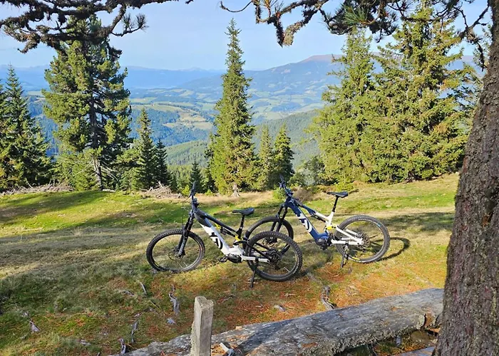 Domek alpejski The Am Klippitztoerl - *