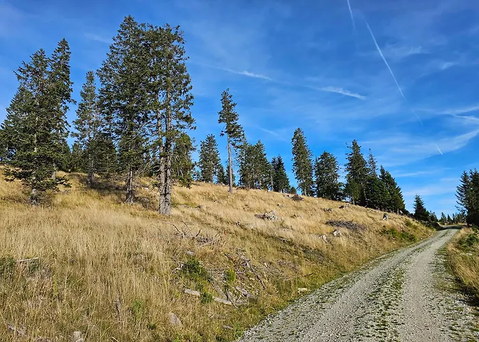 The Am Klippitztoerl - Domek alpejski *