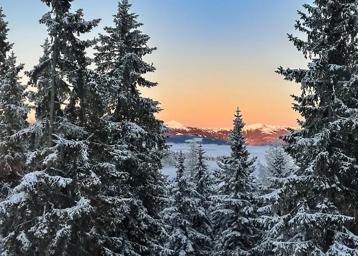 Domek alpejski The Am Klippitztoerl - *